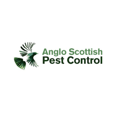 Anglo Scottish Pest Control